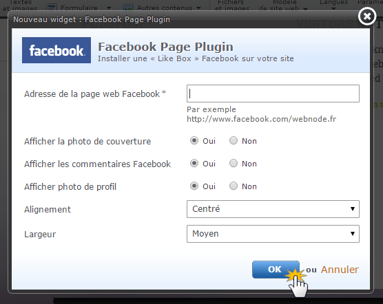Installer Page plugin Facebook