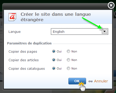 Site multilingue